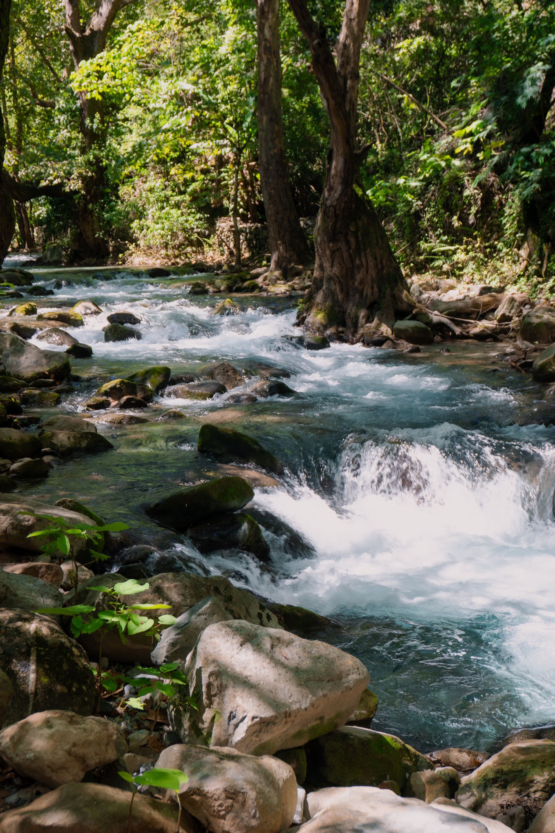 Río Melcocho